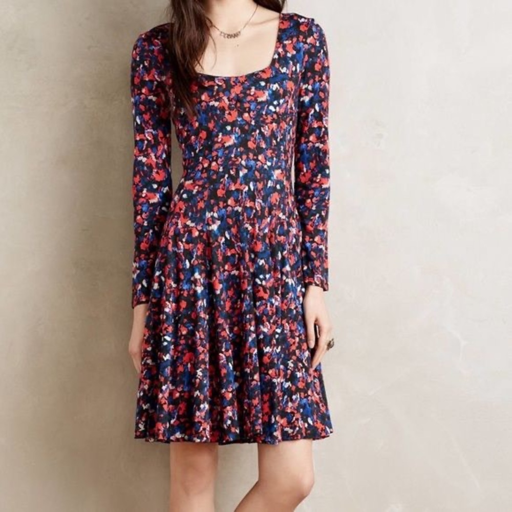 HD in Paris Anthropologie Swing Floral Dress XS